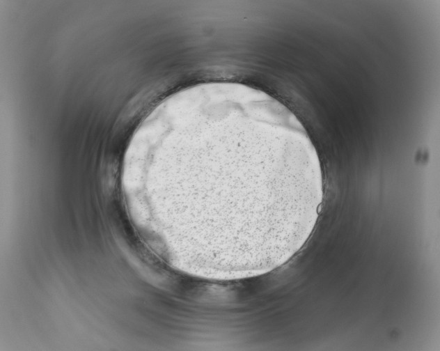 X0000112480166200909281118