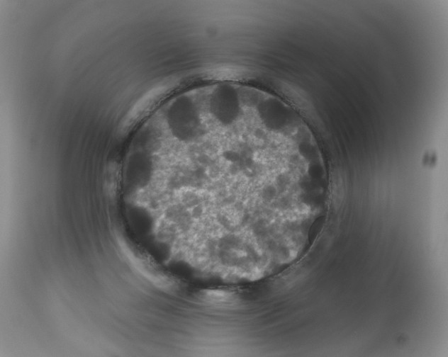 X0000112480167200909281118