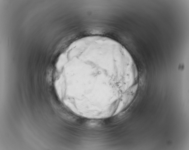 X0000112480175200909281118