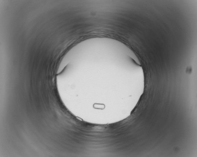 X0000112480176200909281118