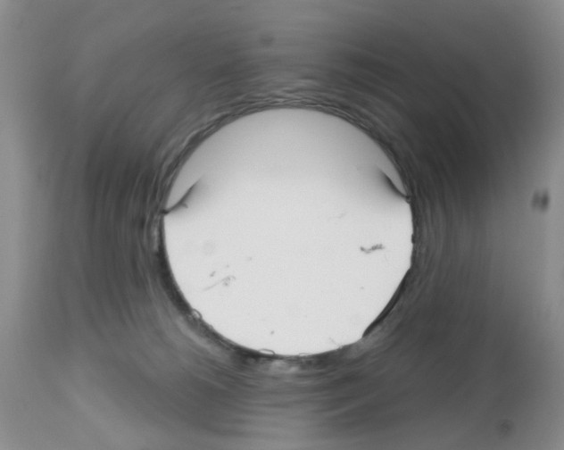 X0000112480180200909281118