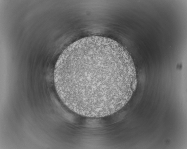 X0000112480181200909281118