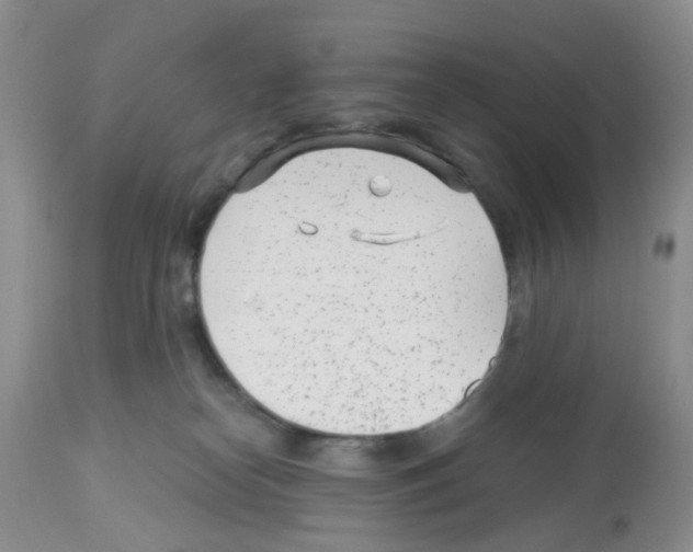 X0000112480182200909281118