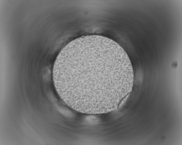 X0000112480183200909281118