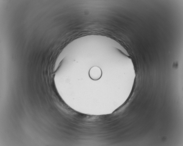 X0000112480186200909281118