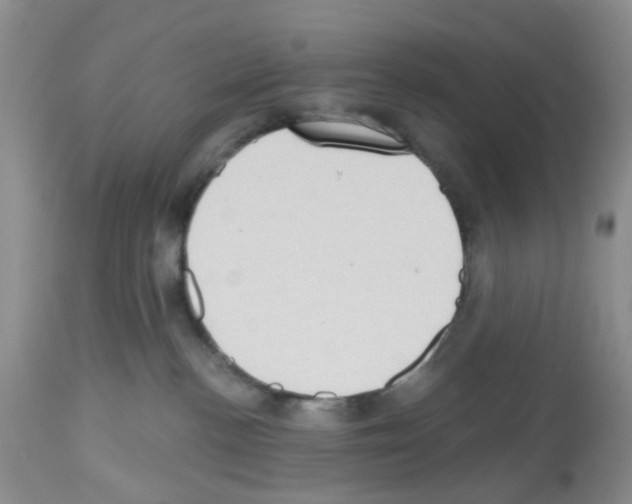 X0000112480188200909281118