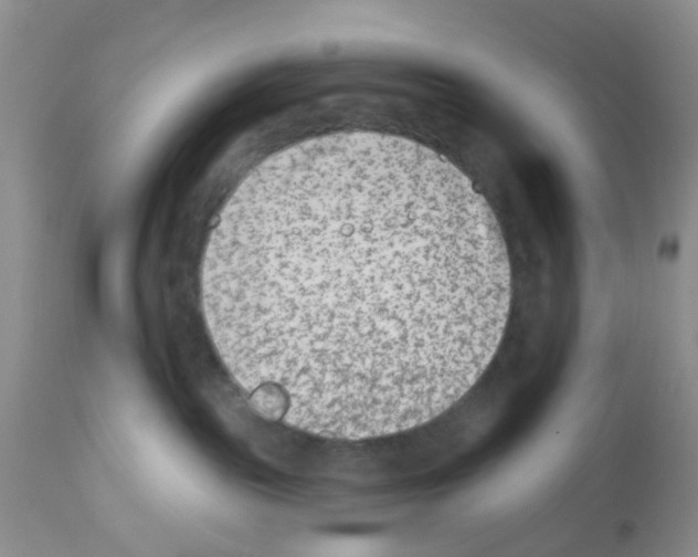 X0000112480189200909281118