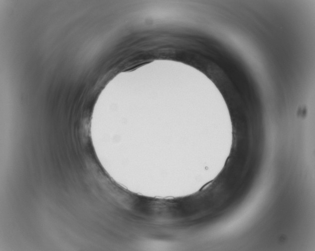 X0000112480190200909281118