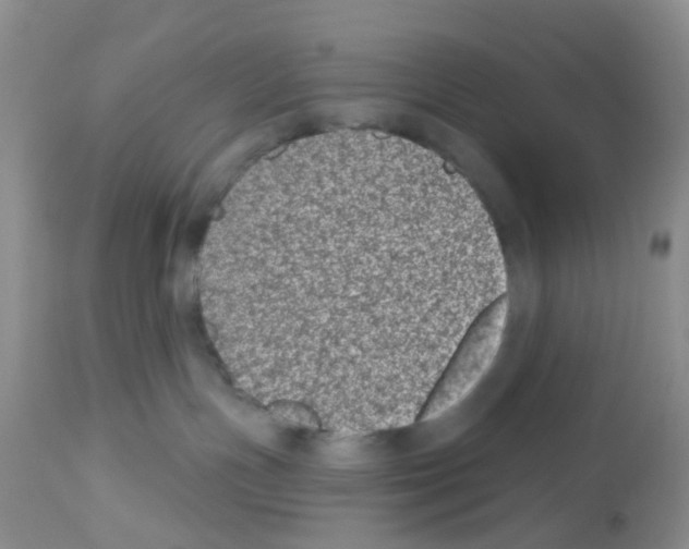 X0000112480191200909281118