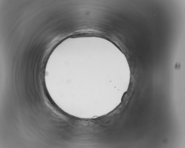 X0000112480193200909281118