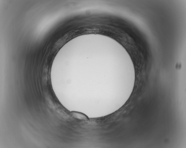 X0000112480194200909281118