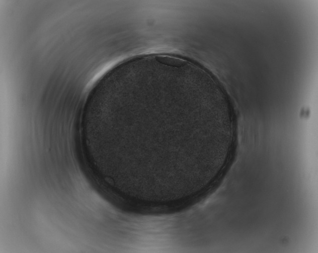 X0000112480196200909281118