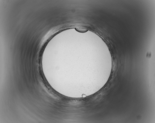 X0000112480198200909281118