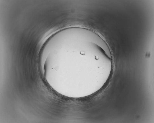 X0000112480199200909281117