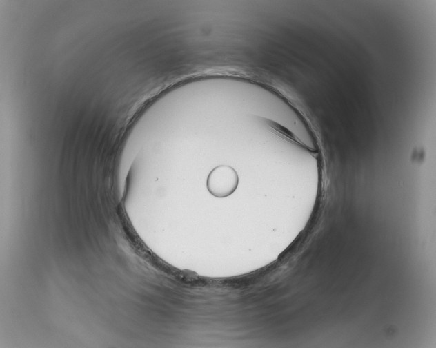 X0000112480201200909281117