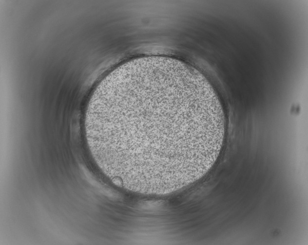 X0000112480202200909281117