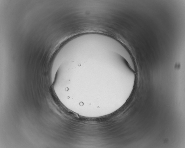 X0000112480203200909281117