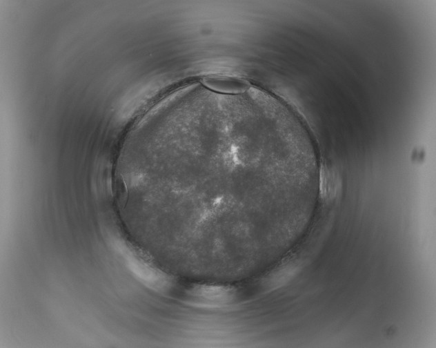 X0000112480205200909281117