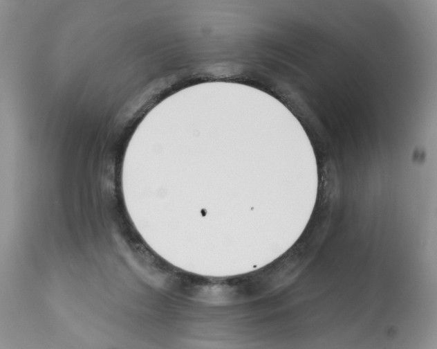 X0000112480212200909281117