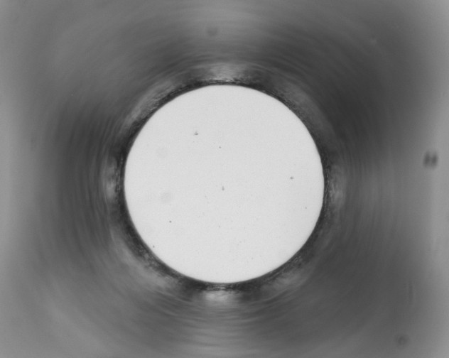 X0000112480216200909281117