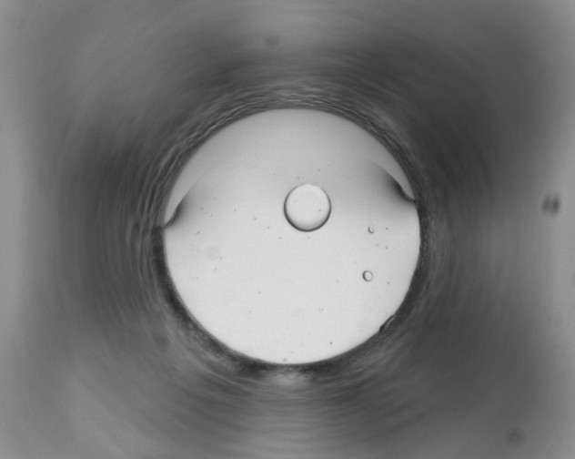 X0000112480217200909281117