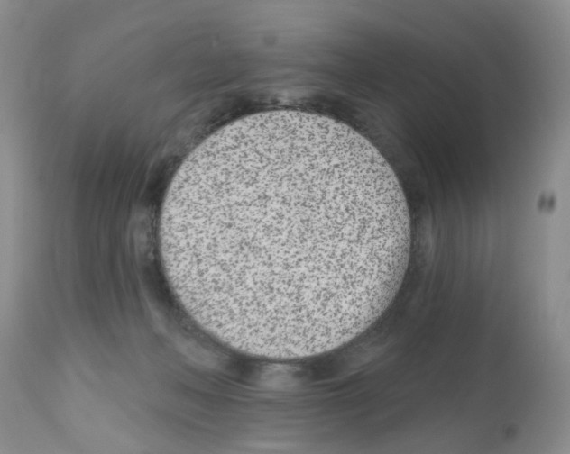 X0000112480222200909281117