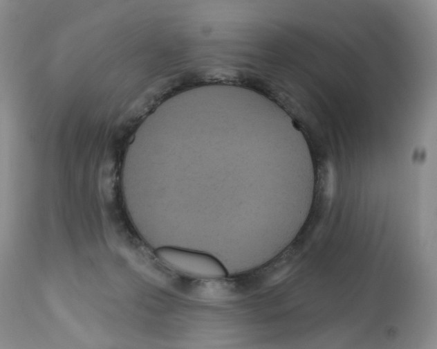 X0000112480223200909281117