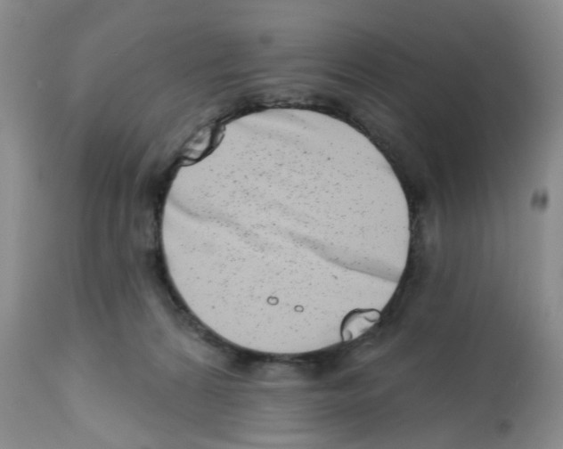 X0000112480224200909281117