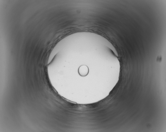 X0000112480229200909281117