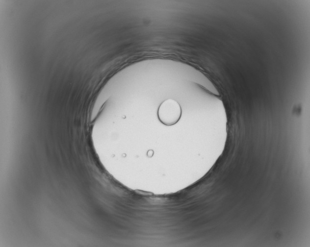 X0000112480233200909281117