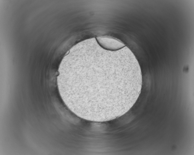 X0000112480234200909281117