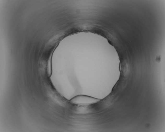 X0000112480235200909281117