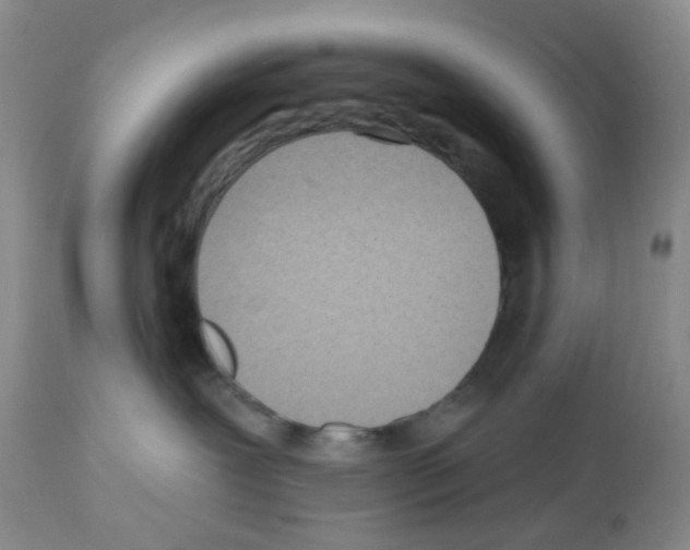 X0000112480239200909281117