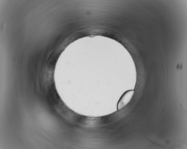 X0000112480240200909281117