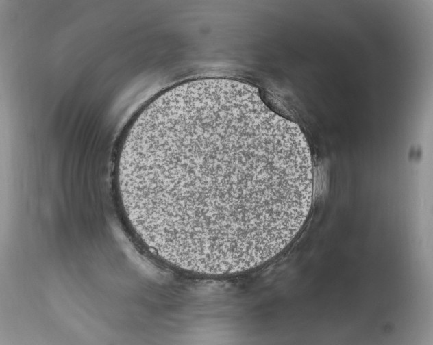 X0000112480243200909281116