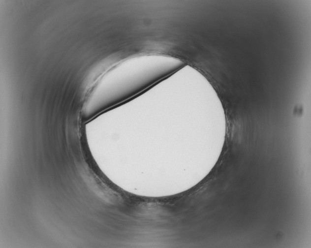 X0000112480244200909281116