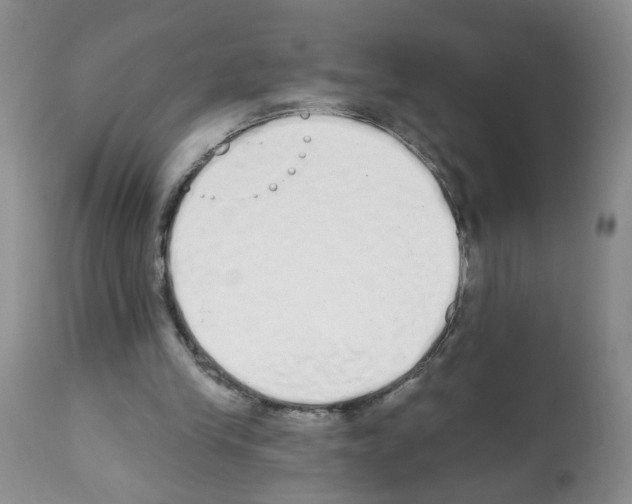 X0000112480245200909281116