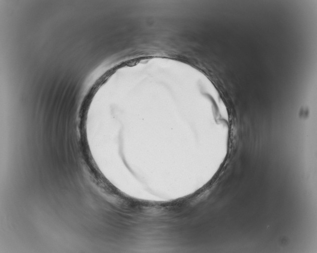 X0000112480246200909281116