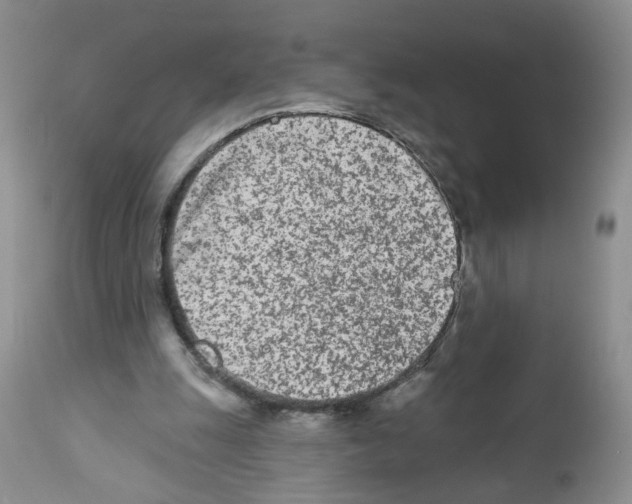 X0000112480247200909281116