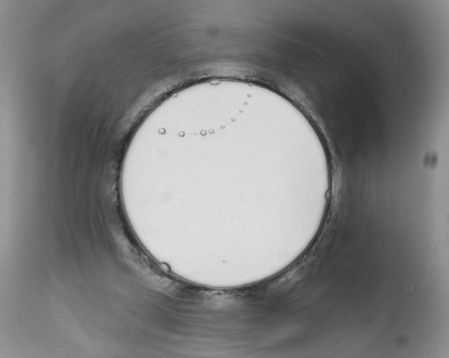 X0000112480249200909281116