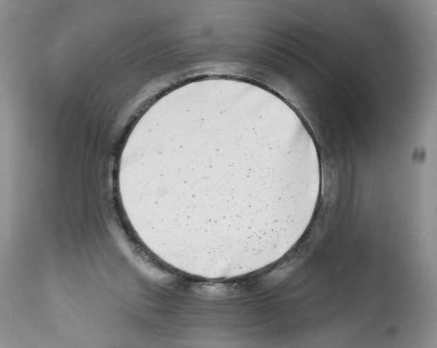 X0000112480253200909281116