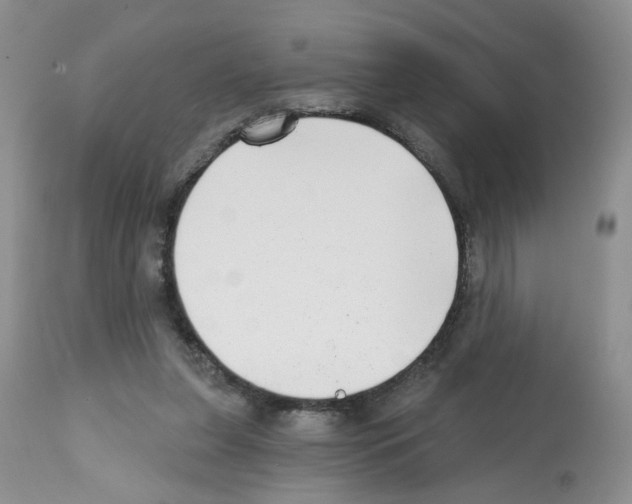 X0000112480255200909281116