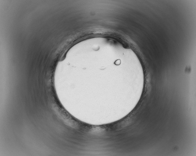 X0000112480257200909281116