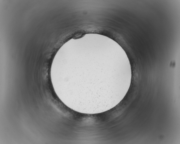 X0000112480259200909281117