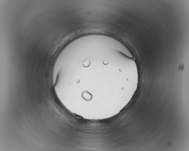 X0000112480260200909281117