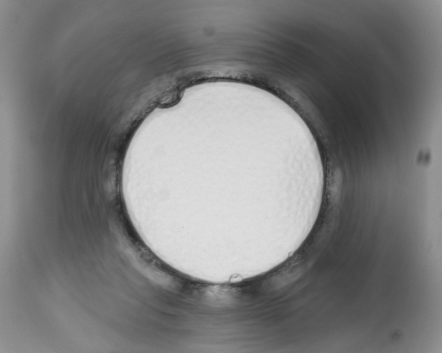 X0000112480261200909281117