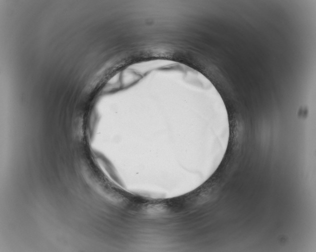 X0000112480262200909281117