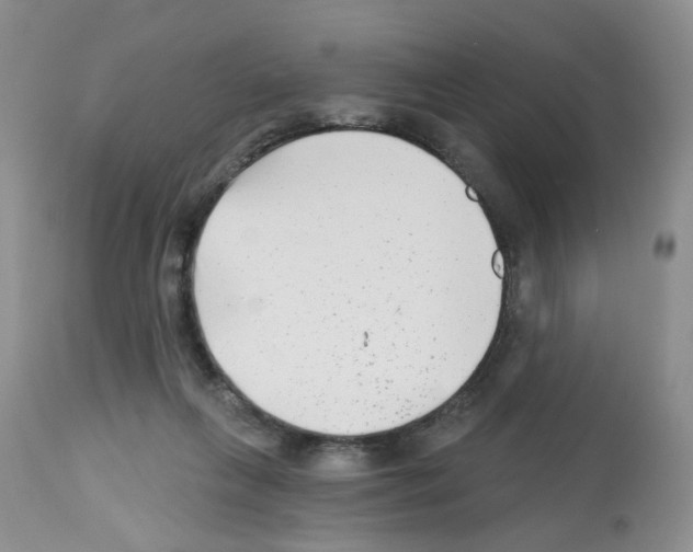 X0000112480263200909281117