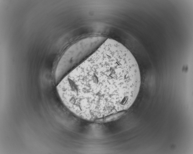 X0000112480272200909281117