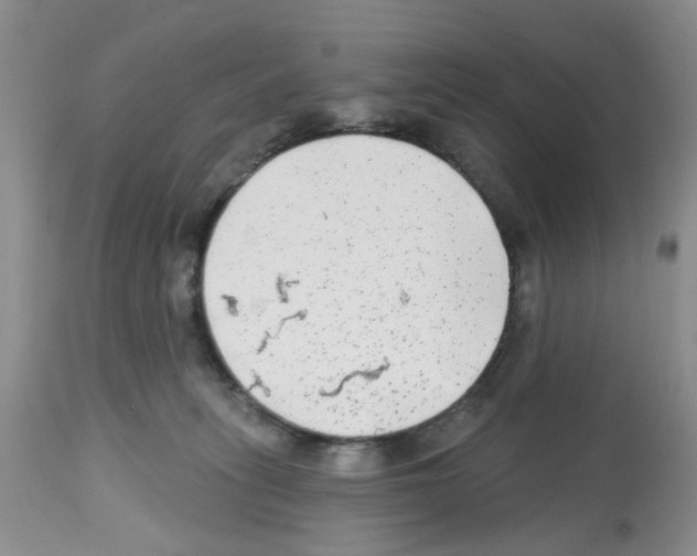 X0000112480275200909281117